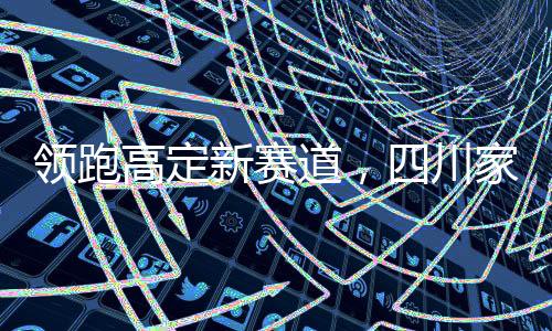 是领跑平台更是生态