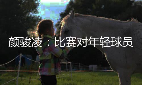 那么下一场就是打日本