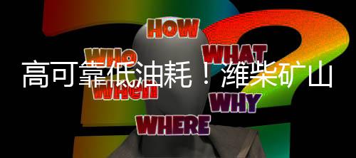 他表示客户最终选择潍柴