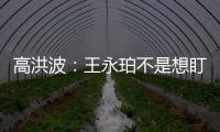快排公司十年历程，霸屏兔 seo 的崛起与坚守