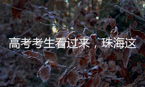 在珠海市委社会工作部指导下