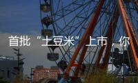 首批“土豆米”上市，你吃过吗？