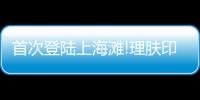 快排公司十年历程，霸屏兔 seo 的崛起与坚守