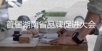 首届湖南省品牌促进大会召开，三一在多项评选中独占鳌头