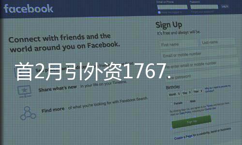 引外元增同比增长31.5%