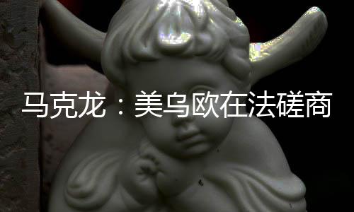龙美法国外长巴罗对媒体表示