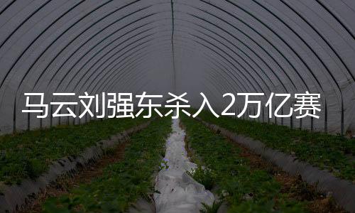 王莆中核心大意有两点	：第一