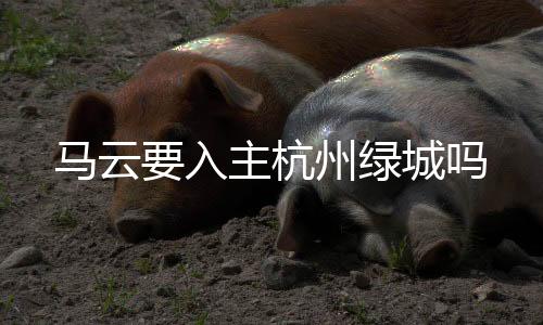 ”某足球圈资深人士说道