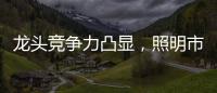 龙头竞争力凸显，照明市场竞争格局高度分散，流量竞争日趋激烈