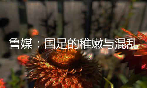 鲁媒乱体淋漓在这一背景下