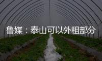 快排公司十年历程，霸屏兔 seo 的崛起与坚守