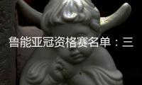 鲁能亚冠资格赛名单
：三外援领衔 费莱尼无缘