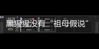 黑猩猩没有“祖母假说”模式？