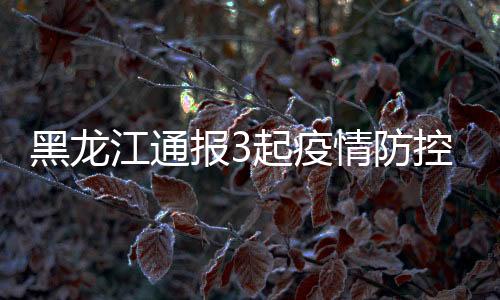 黑龙改签等信息作出提醒