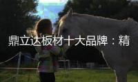 鼎立达板材十大品牌
：精品滑轨火热上市