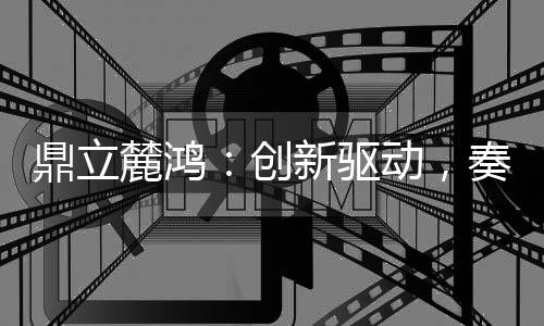 引领行业发展展望未来