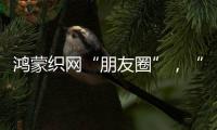 鸿蒙织网“朋友圈”，“这是决定生死的一战”
