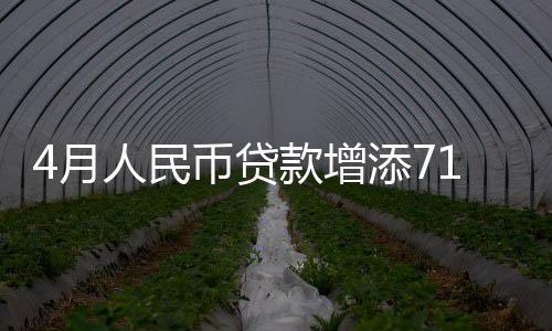 民币住户贷款消减2411亿元