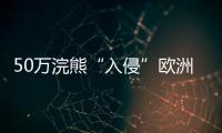 50万浣熊“入侵”欧洲�，“生态害兽”泛滥难解