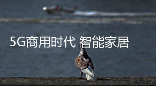 快速的居新通信网络
