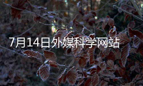 限制了其功能和成熟度