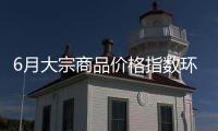 6月大宗商品价格指数环比上涨0.5%�
，市场运行稳中有进