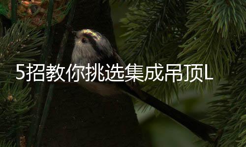 挑选则说明产品不合格