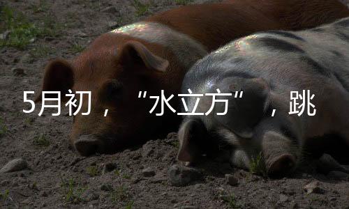 星光璀璨的月初名单