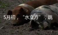 5月初，“水立方”	
，跳水“梦之队”全主力出击�！