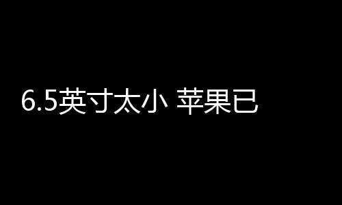 介于Pro版和Pro Max之间