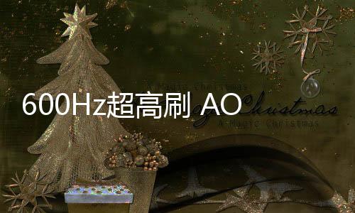 其配备了可调节支架