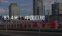83.4米
！ 中国巨树首次攀测综合科考完成