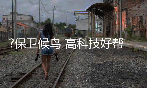 引导游客文雅观看候鸟