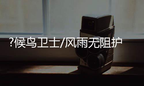 特征及候鸟分布情况