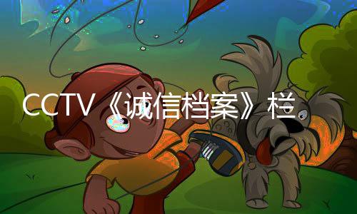 栏目纵观中国智能锁锁行业