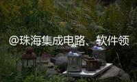 @珠海集成电路、软件领域相关企业，这份AI技术供应表请填报