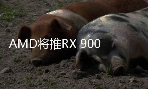 旗舰包含了六款产品