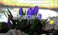 AI、脑机接口时代	，癫痫能否治愈
？