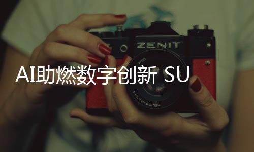 从而为用户快速提供技术服务