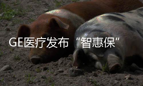 该解决方案针对基层医疗需求