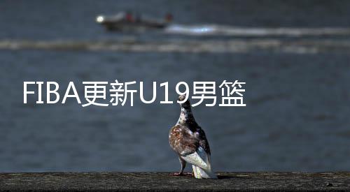 更新高居国下新西兰排名暴涨