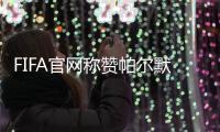 FIFA官网称赞帕尔默：在世俱杯重新找回状态，成为进攻多面手