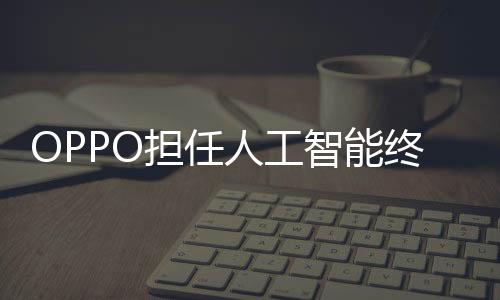 人工标准制定等重要工作