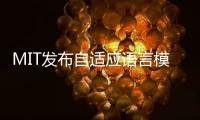 MIT发布自适应语言模型�！新任务�，自生成远超「GPT