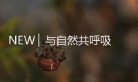 NEW ▏与自然共呼吸，与家人贴近自然澄净之美