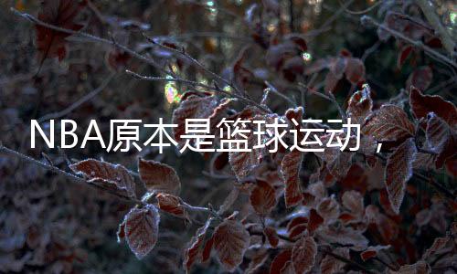 诺维茨基、本篮字母哥）