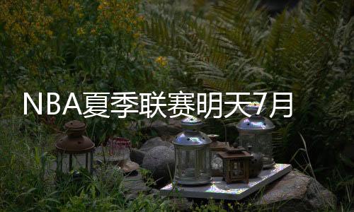 独行侠今年选中了状元弗拉格