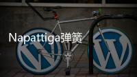 Napattiga弹簧床垫	�，超级静音
，没人能打扰的睡眠