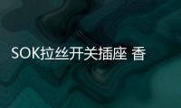 SOK拉丝开关插座 香槟金尽显奢华风尚