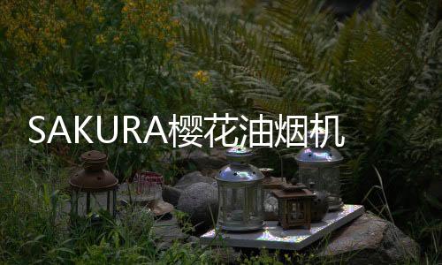 省事只需要轻轻拨动锁扣